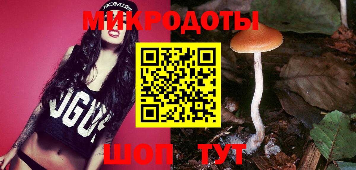 Псилоцибиновые грибы мицелий Анапа