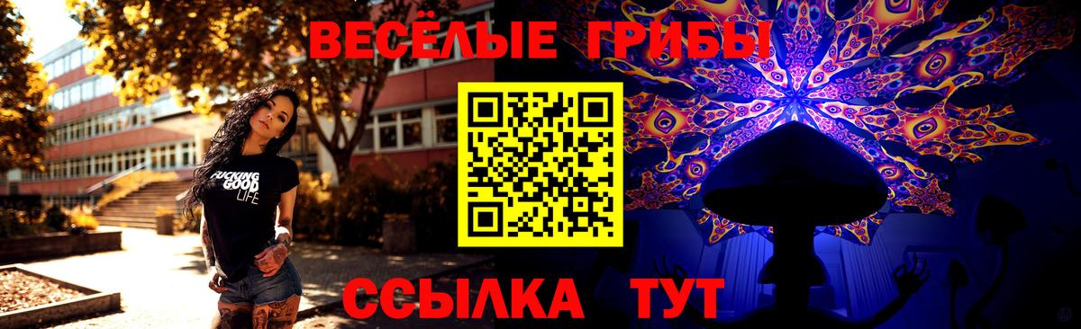 дарнет шоп  Вход с VPN  Анапа  Псилоцибиновые грибы MAGIC MUSHROOMS 